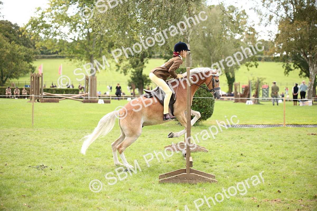 SBM_42350 - S13 - Pony Club Pony