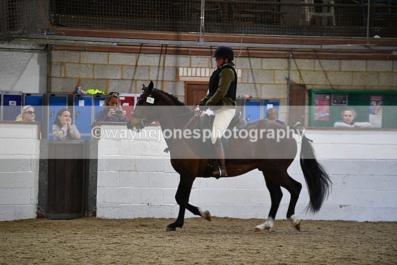WJ5_7942 - Class 13 Ridden Part Breed