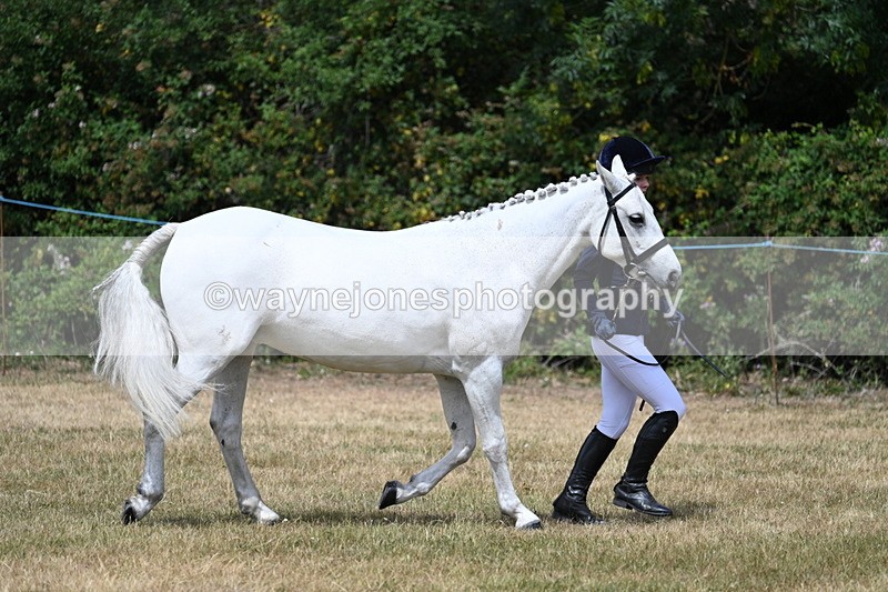 WJ7_1621 - Class 4 Prettiest Mare up to 14.2hh in hand