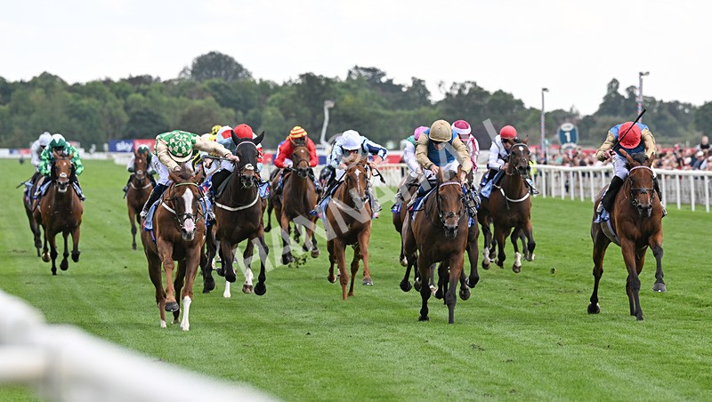 220826-137 Daiquiri Bay - Race 4 15.35pm Sky Bet Ebor Handicap