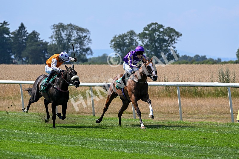 160726-Race 2-Hatamoto-4221 - Race 2 14.28pm By Chen Presidential Apprentice Handicap