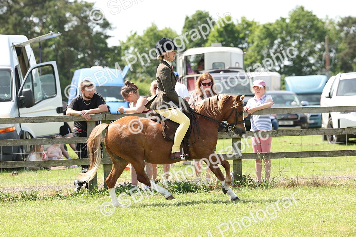 SBM_06748 - Class 26-30 - Mountain and Moorland Ridden