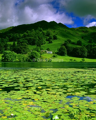 Loughrigg Tarn - Lake District