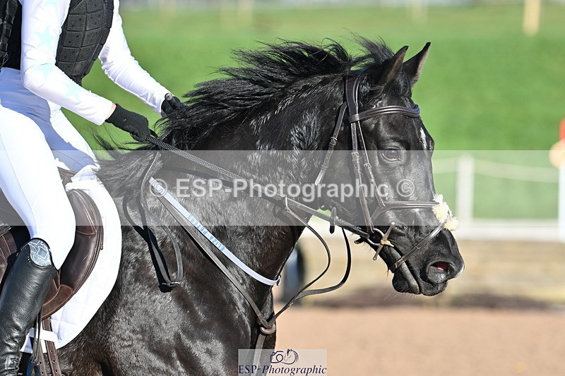 231125A-120906-00464 - 80cm