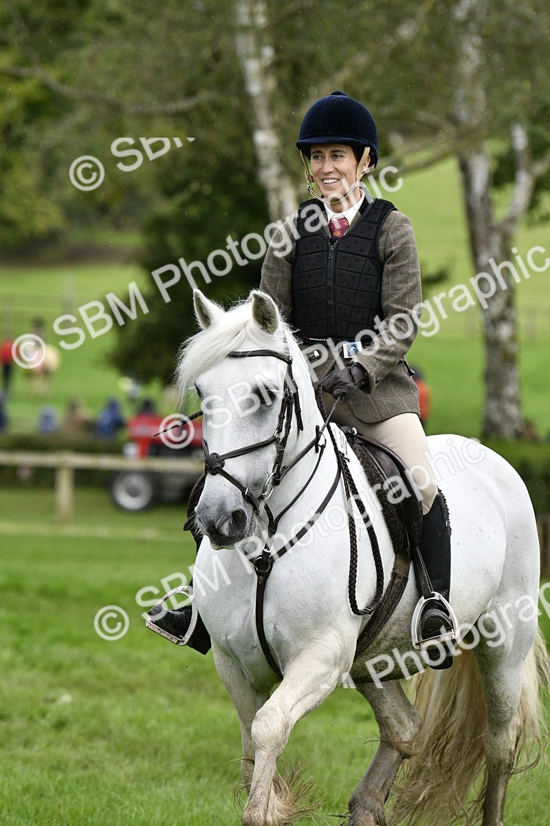 SBM_42267 - S32 - Mountain & Moorland Working Hunter Pony