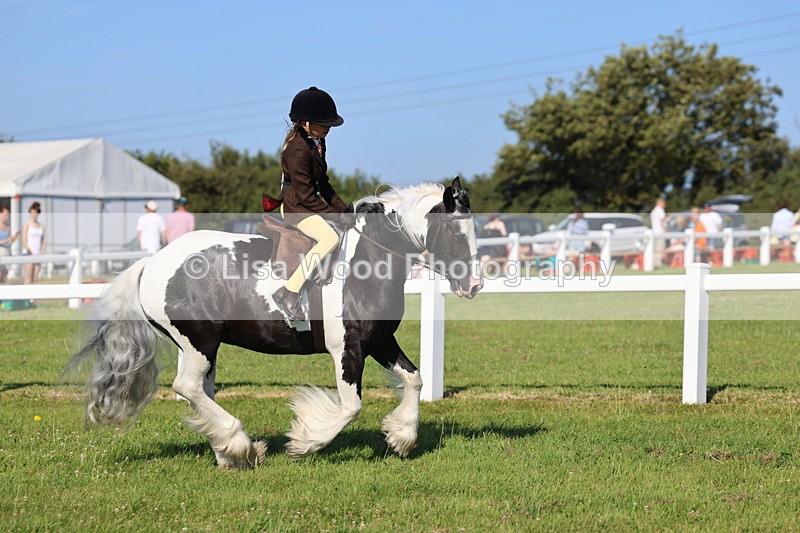IMG_1510 - Class 30: Ridden Native/Trad Coloured Pony