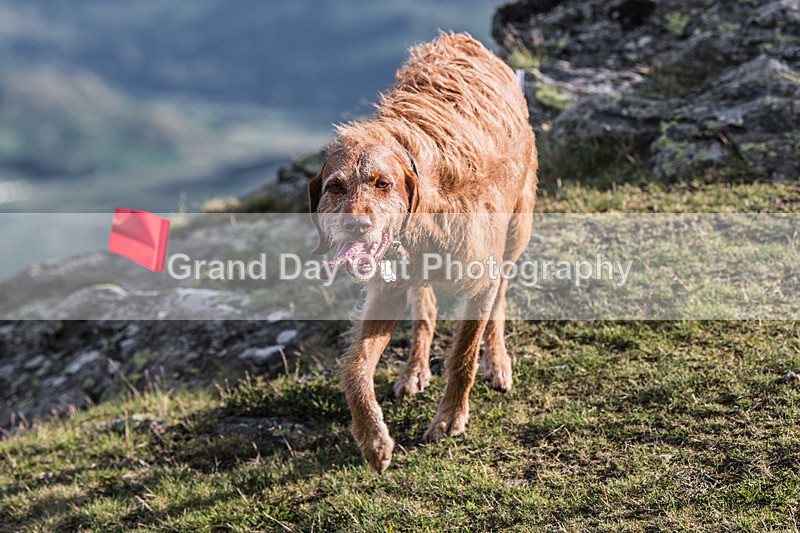 Gategill-4 - Gategill Fell Race Wednesday 2nd July. 2025