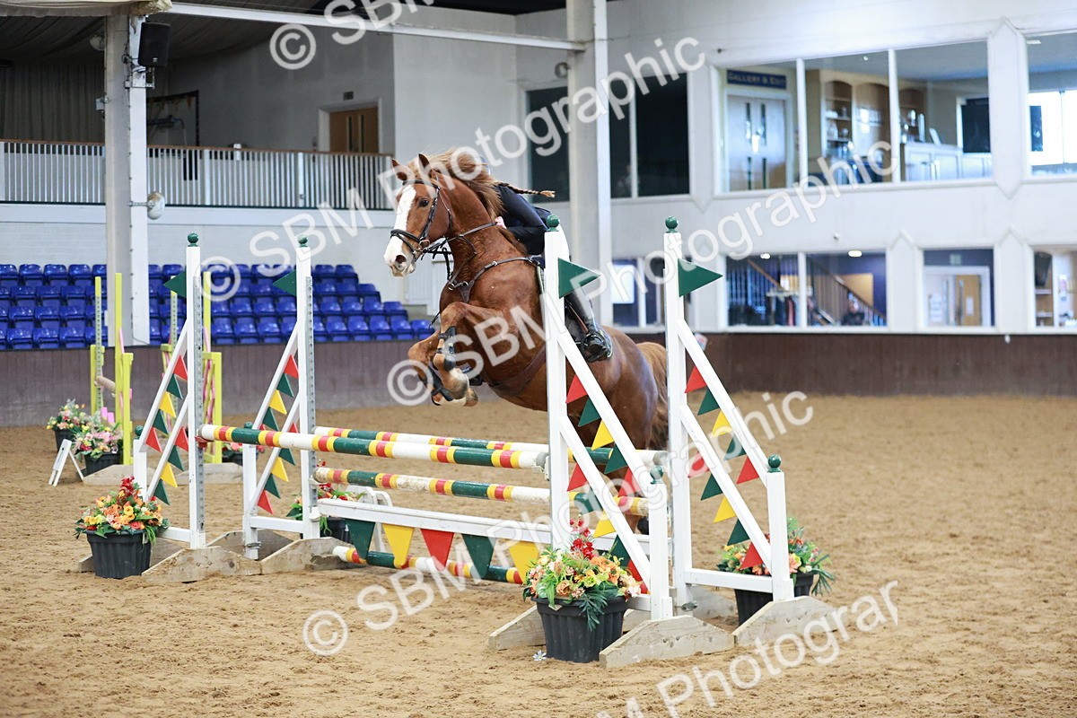 SBM_002997 - Class 9 - Senior British Novice - 90cm