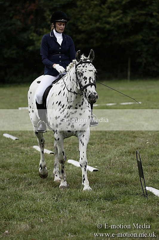 BVR080918 123 - BVRC Novice Dressage & CR 08/09/18