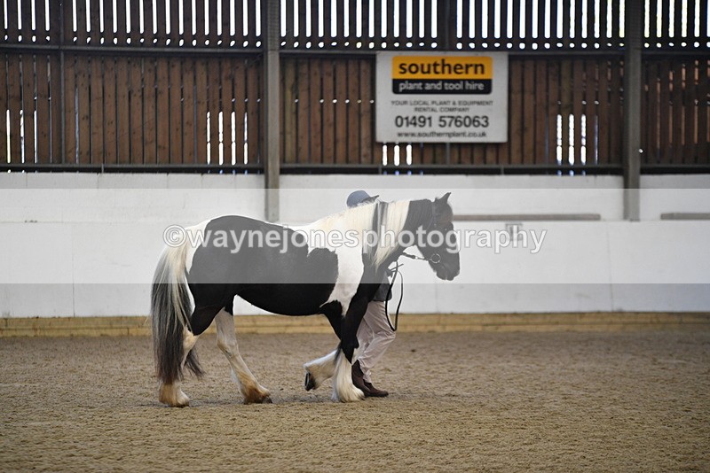 WJ5_5494 - Class 8 In hand cob