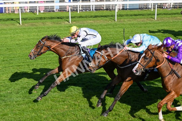 160525-Race 7-Delicacy-7451 - Race 7 5.30pm Yorkshire Equine Practice Handicap