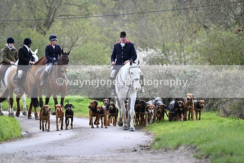 WJ7_9762 - Walk Home