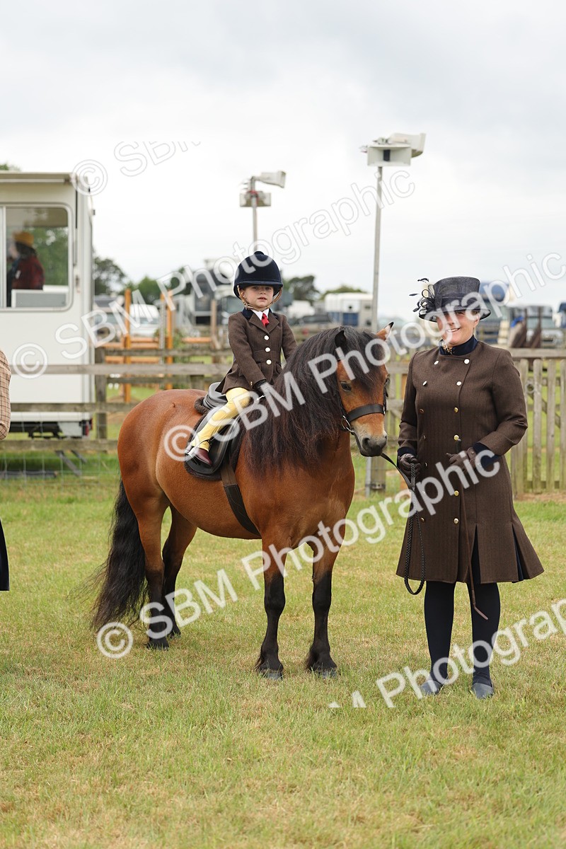 SBM_06773 - Class 74-75 - M&M Lead Rein and First Ridden Pony