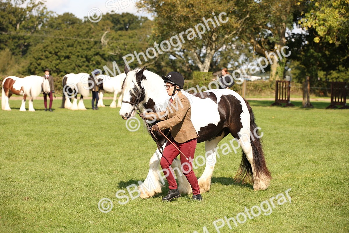 SBM_62260 - S55 - Traditional Cob In Hand