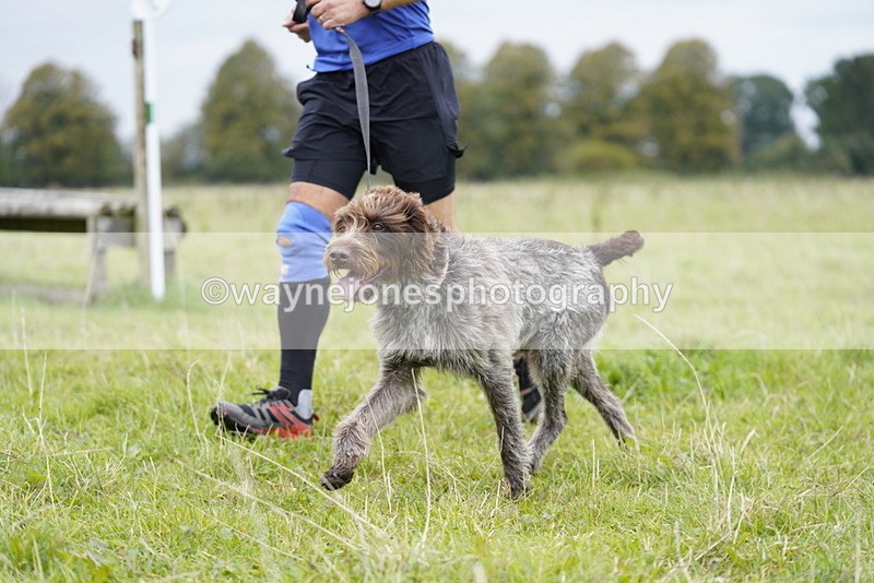 _DSC6807 - Time at Photographer 10:13 to 10:42