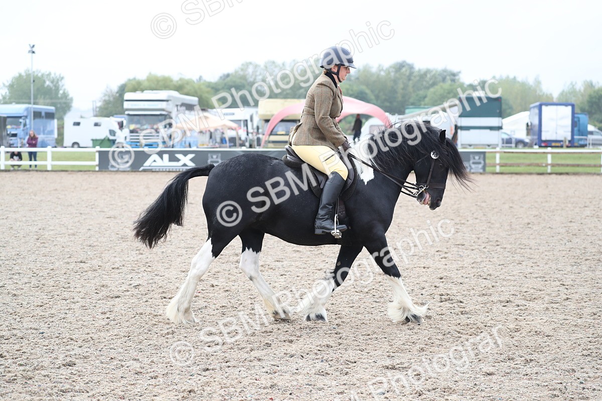 SBM_22023 - Class 603 - 2025 Area Ridden Pre Vet