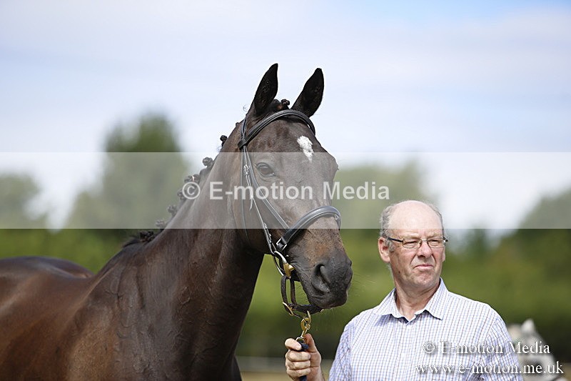 _C7A9640 - BVRC Sow 2018 Ring 2