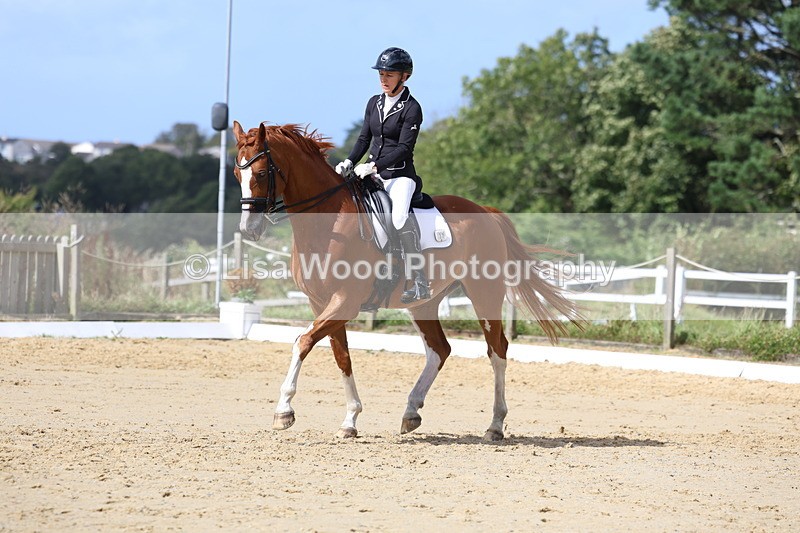 3E7A4777 - Class 11: Elementary Music