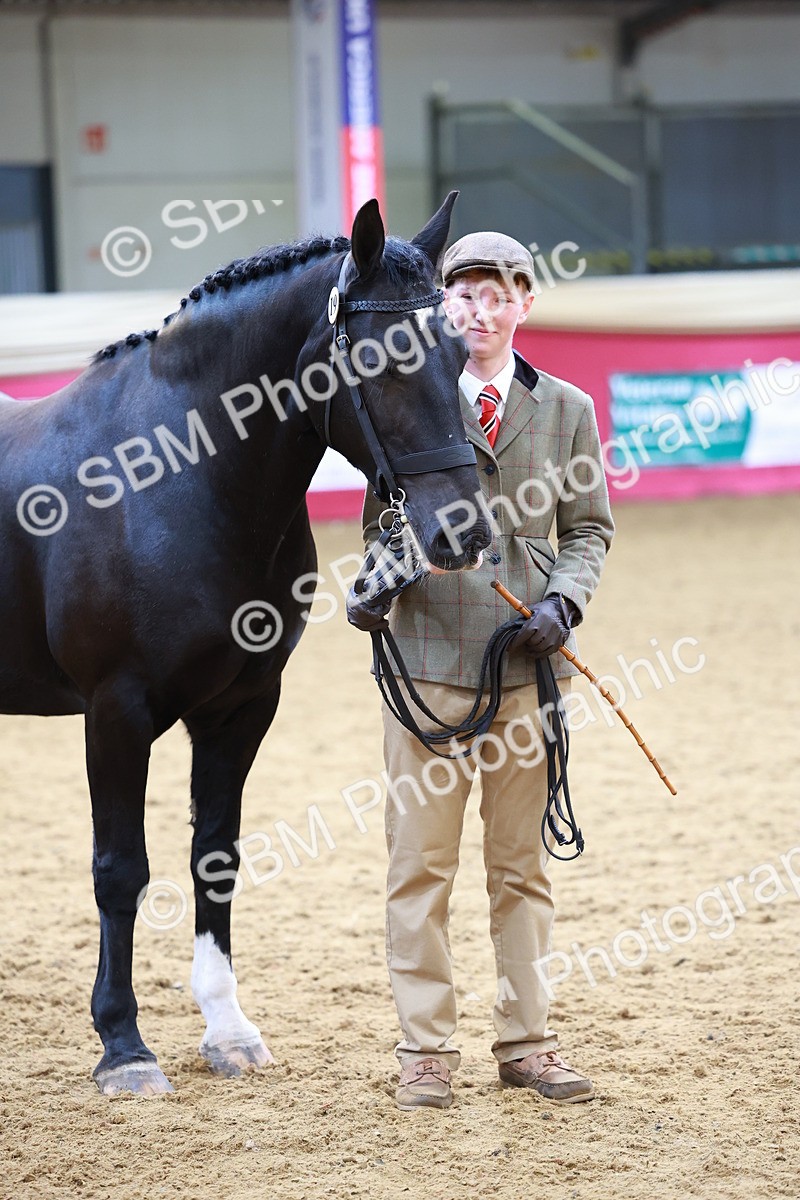 SBM_00566 - Class 3A - IH Pre-Vet