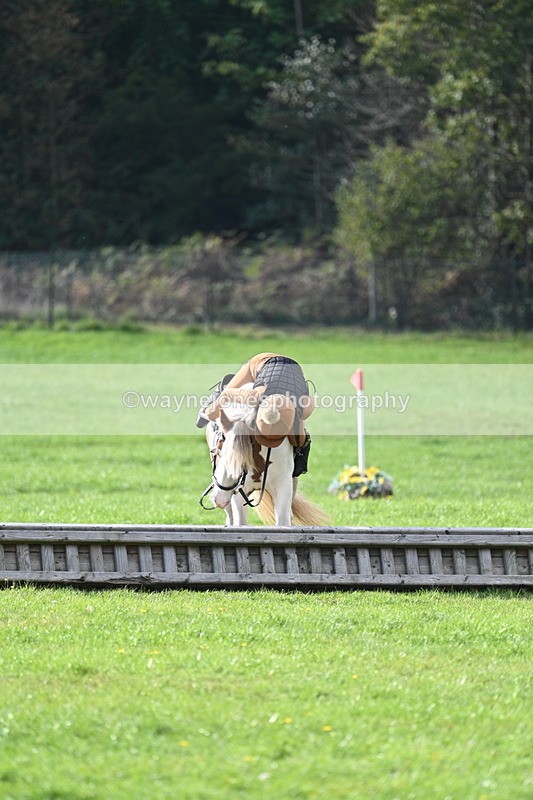 WJ7_3961 - 40cm Time 10:26 to 10:42