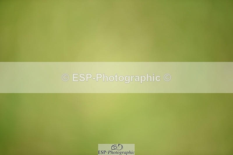 240605-114942-00835 - Cls 2 Prelim 19 SQ