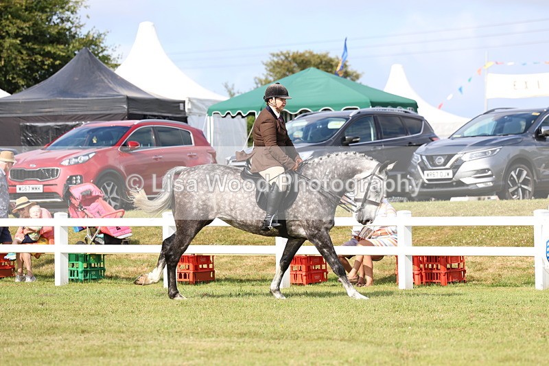 3E7A8850 - Class 3: Rising Star S/L Hunter