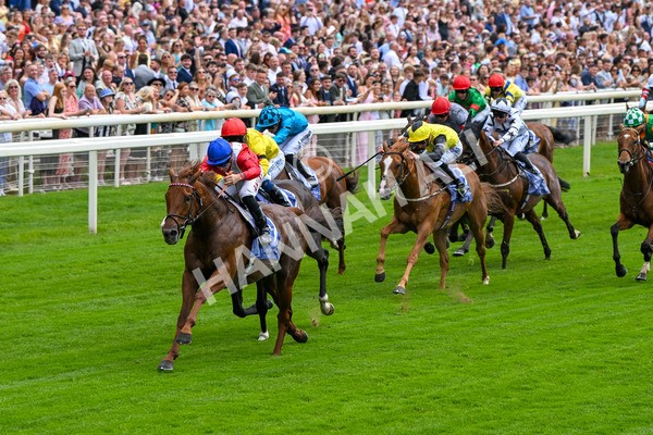 280625-Race 1-Archivist-9939 - Race 1 1.55pm Al Basti Equiworld Dubai Mile Handicap