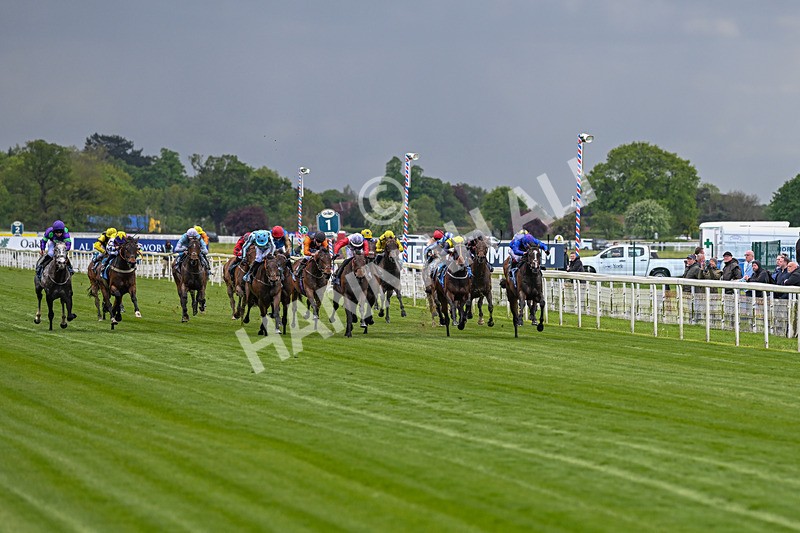 140526-Race 3-Maybe Not-4859 - Race 3 2.55pm Oakmere Homes Hambleton Handicap