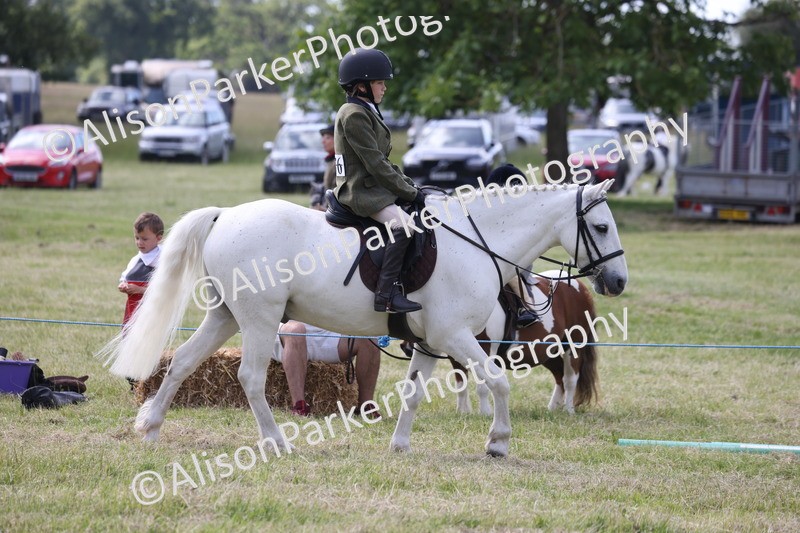 20260614-0789 - Class 20 - Beginners Working Hunter Pony