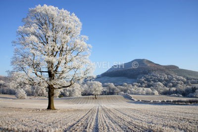 40 - SCOTTISH BORDERS