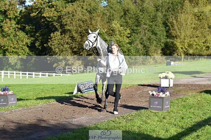 231022-100020-22175 - 451-THE.GREY.DANCER-Alice.Sandiford-TrotUp+SJ