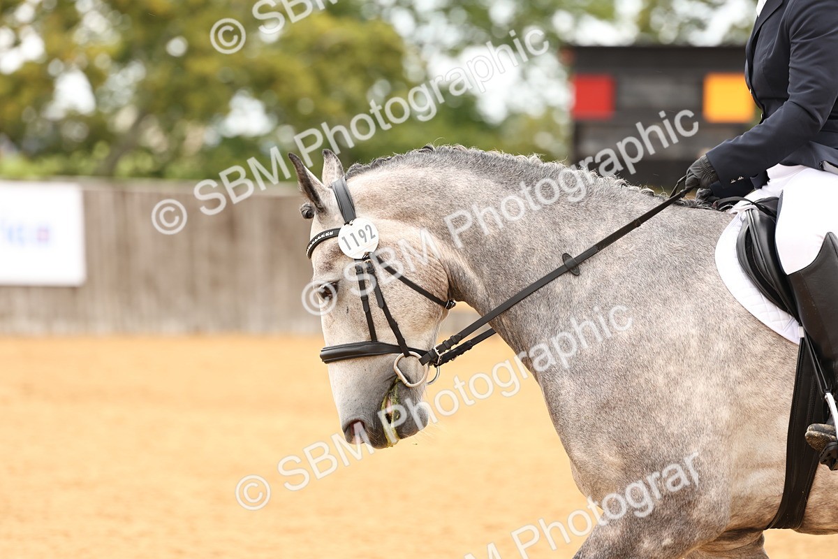 SBM_03590 - D1 - Small Tour Championship Intro 1