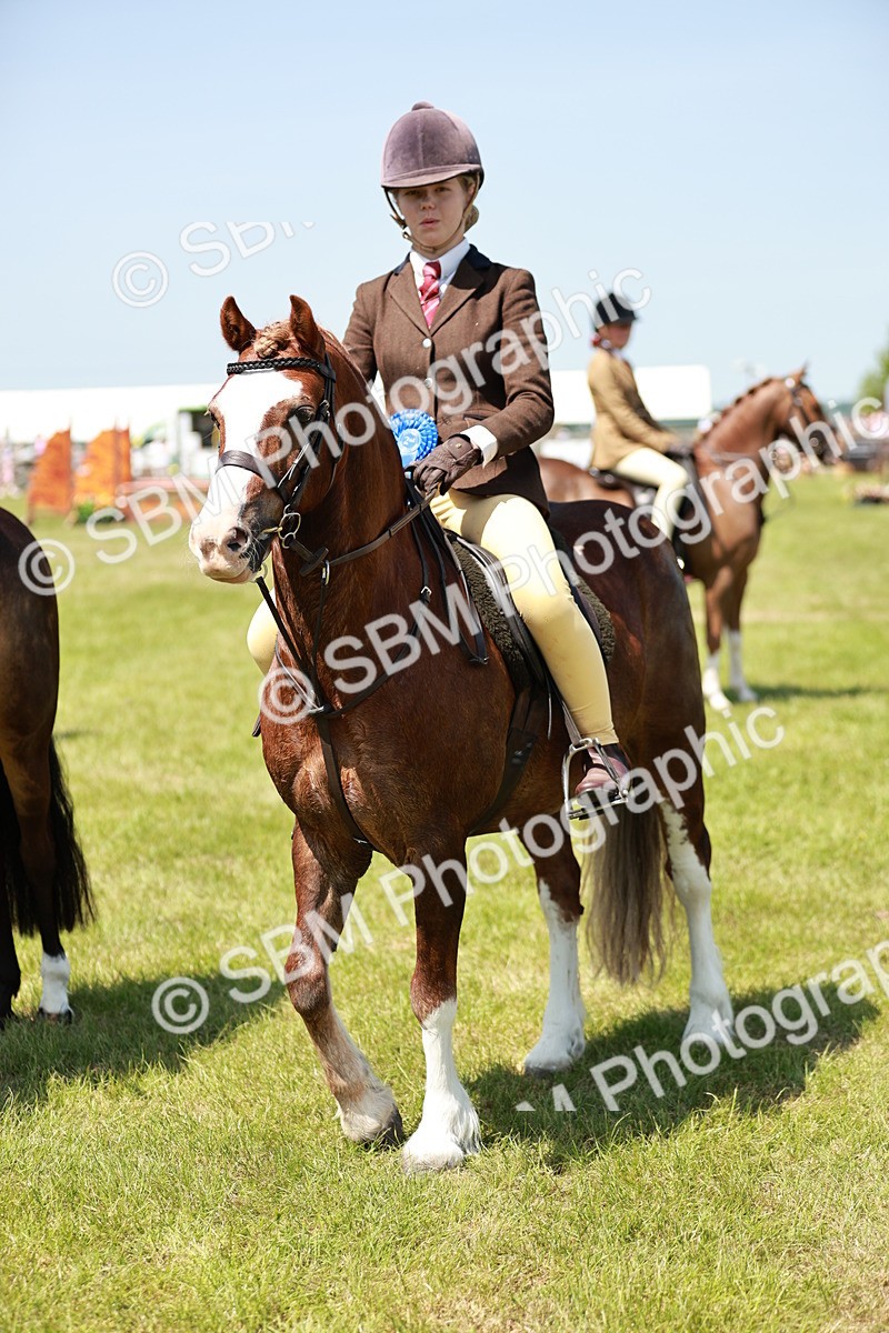 SBM_15716 - Class 108-109 - BSPS LIHS Open Gradle & Nursery Stakes