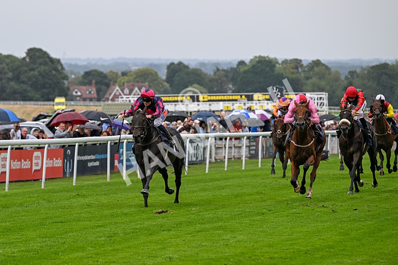 290826-Race 2-Valley Of Flowers-5936 - Race 2 2.20pm Napoleons Casino And Restaurant Hull Handicap