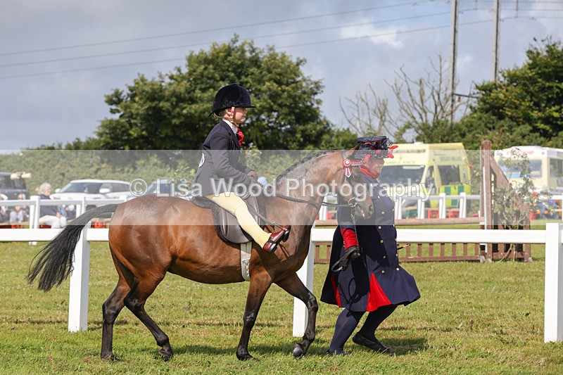 1X9A3608 - Class 29: Lead Rein SP/SHP