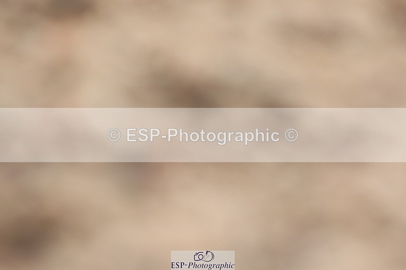 250622-115331-15110 - Cls 47 Novice 5, 11.30am to End