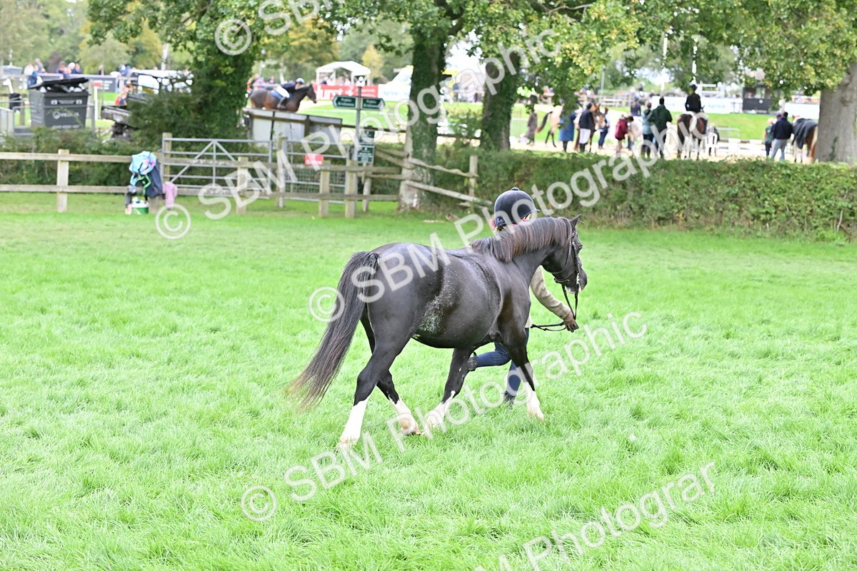 SBM_66803 - S41 - Junior Handler 8 Years & Under