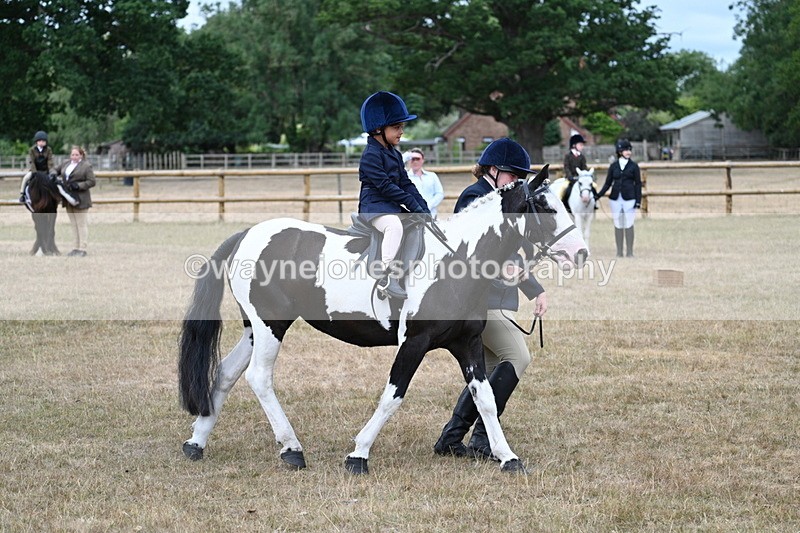 WJ7_6667 - Class 1 Lead Rein Pony