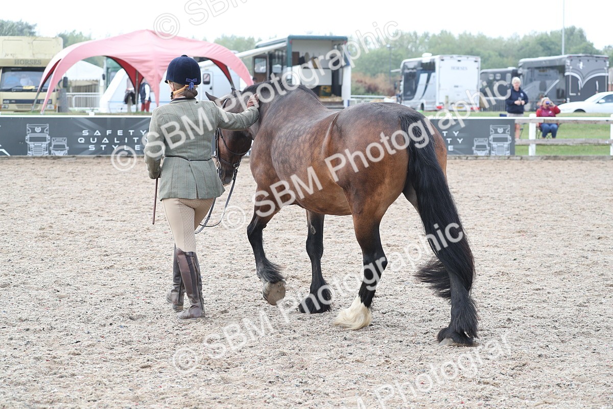 SBM_22614 - Class 604 - 2025 Area - IH Diamond