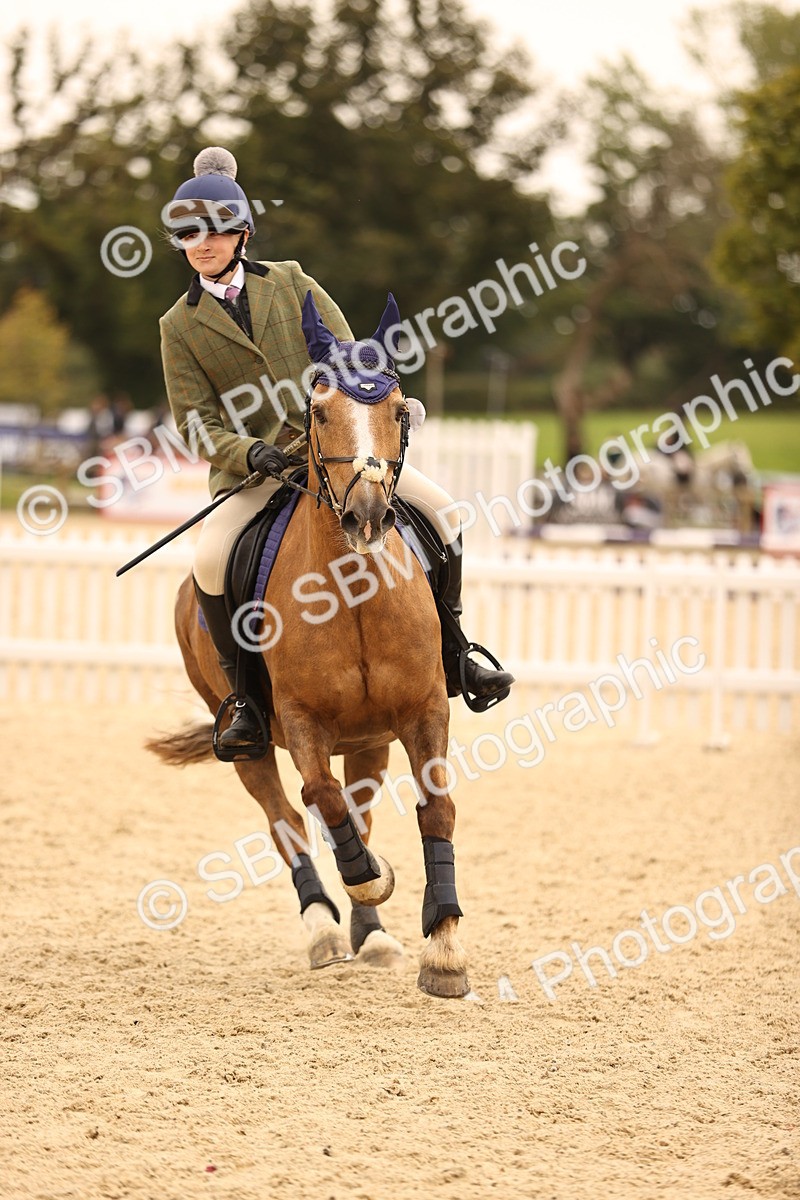SBM_72517 - J14 - Junior Pony 65cm Championship