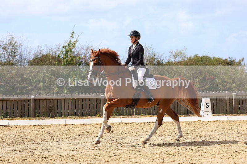 3E7A4836 - Class 11: Elementary Music