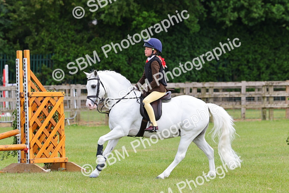 SBM_09592 - Class 44-45 - LIHS BSPS Open Nursery and Cradle Stakes