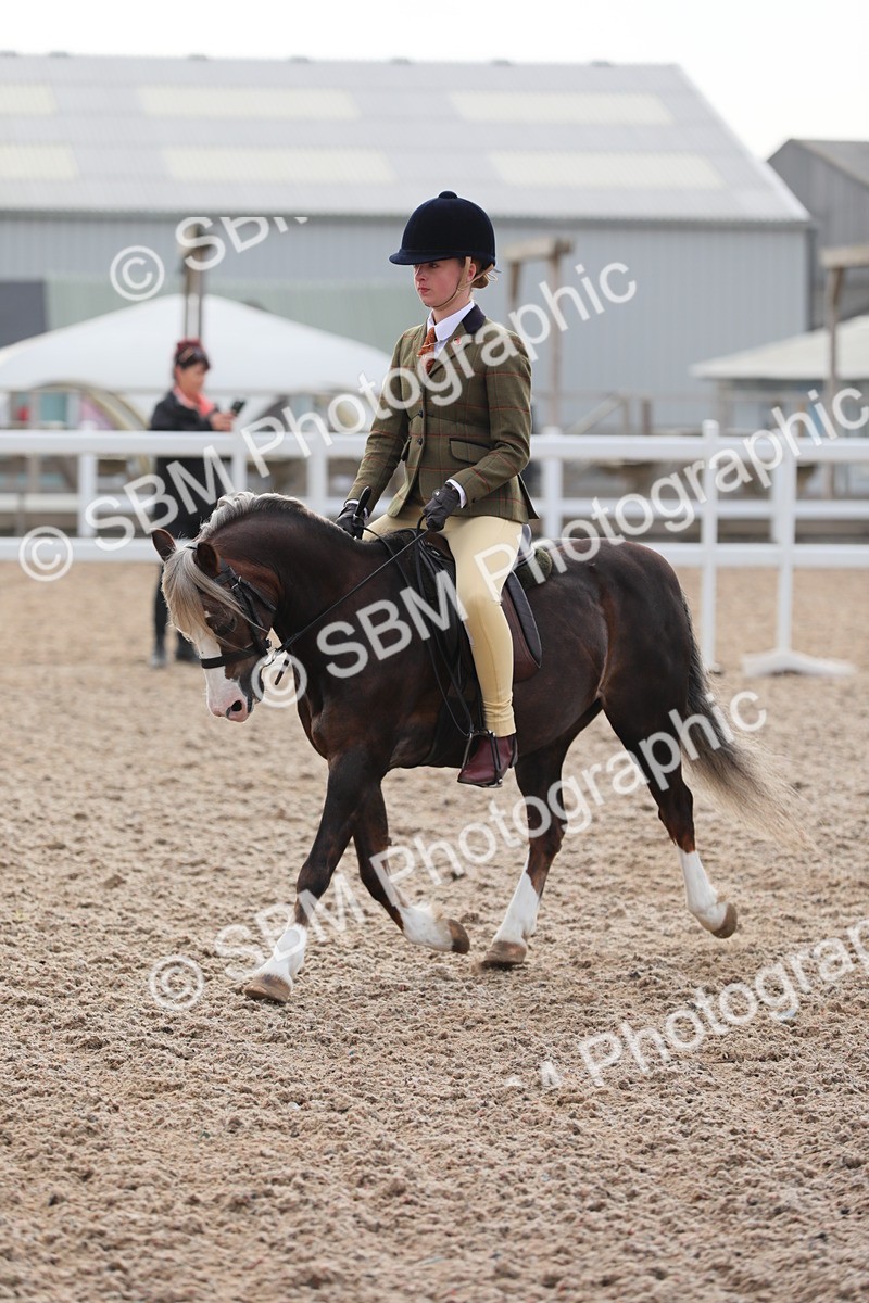 SBM_09633 - Class 301 Ridden M&M -Small Breeds
