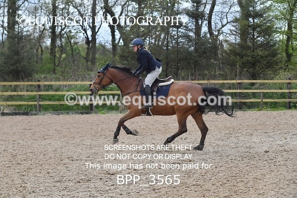 BPP_3565 - CLASS 18 SUN Senior Newcomers/ 1.10m Open