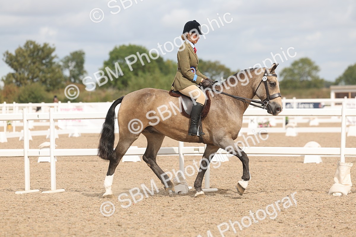 SBM_04599 - Class 19 - Horse/Pony Judge would most like to take home