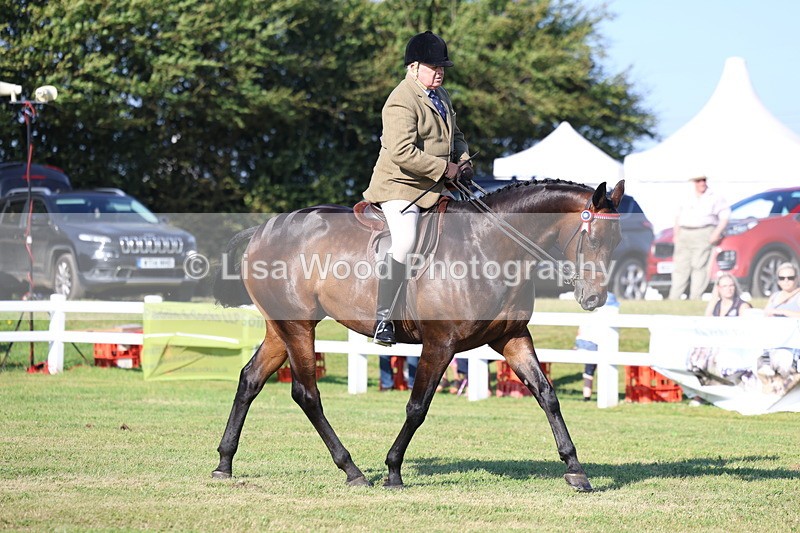 3E7A5283 - Class 2: Rising Star Large Hack/Riding Horse