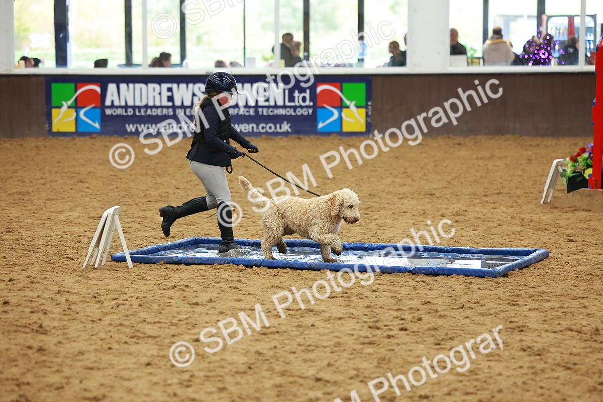 SBM_002182 - Class 3 - Horse & Hound (60cm)