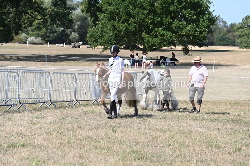 WJ6_9466 - Class 40 Cheekiest Pony/Horse