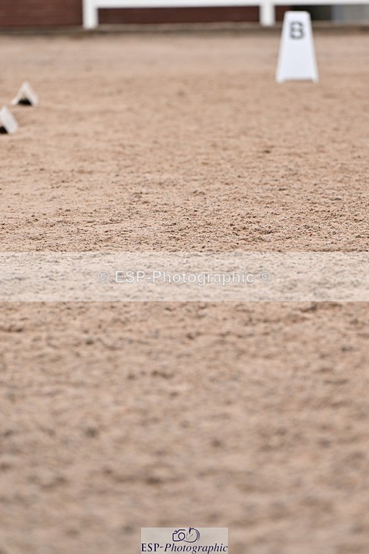 250716-141405-00982 - Trot Up 1.30 to 2.30