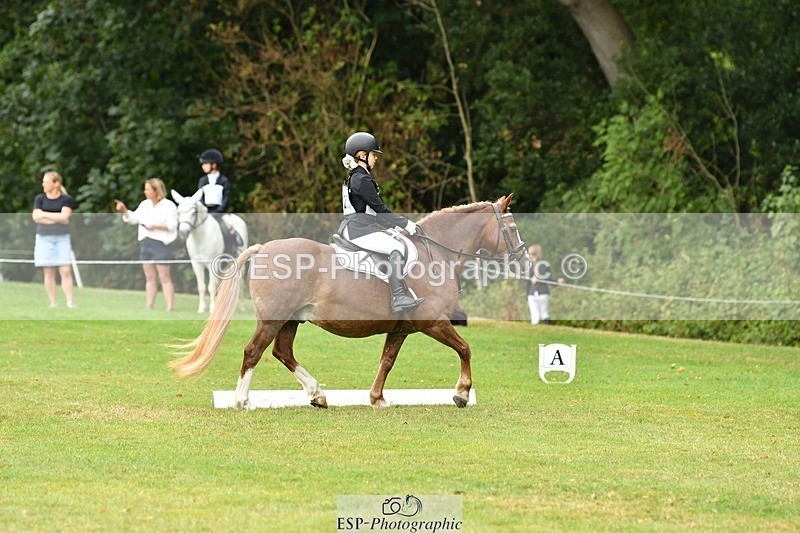 250820A-121729-05539 - 12 to 13.00